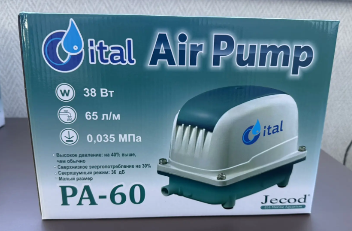 Портрет человека