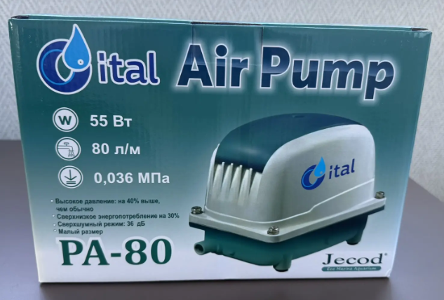 Портрет человека