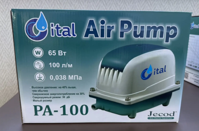 Портрет человека