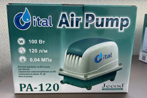 Портрет человека